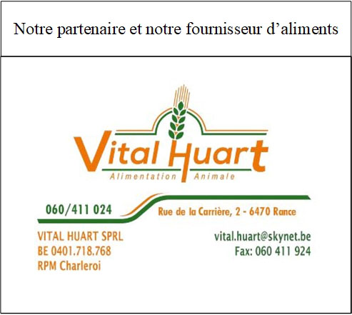 Vital Huart