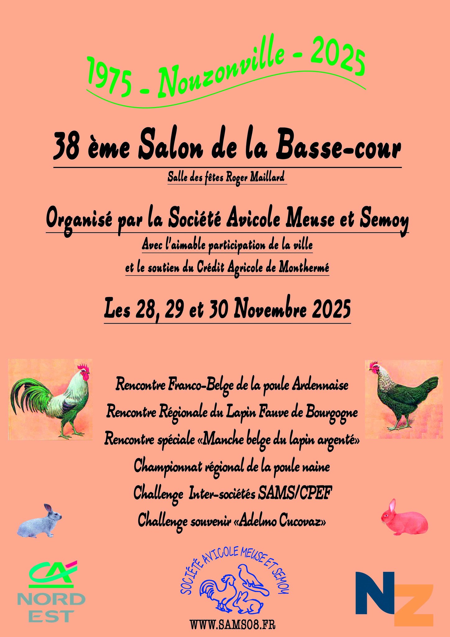 Affiche concours