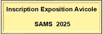 Sams 2025