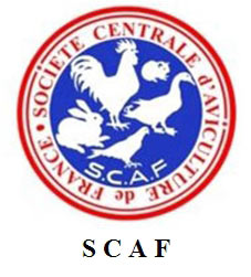 SCAF1